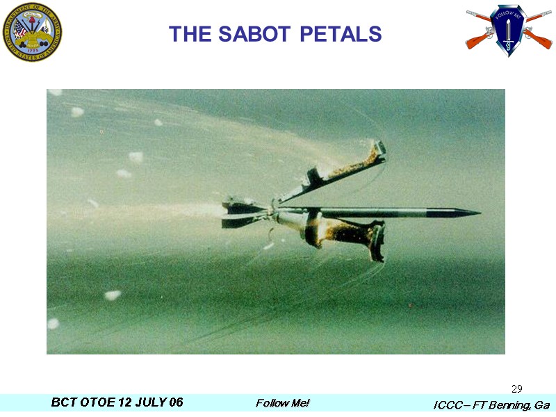 29 THE SABOT PETALS